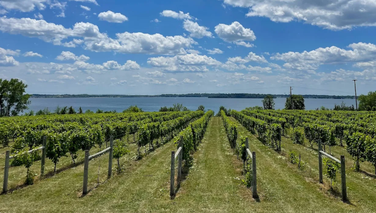 4139 Ramsay Way Waconia, MN 55387 - Photo 16 of 20