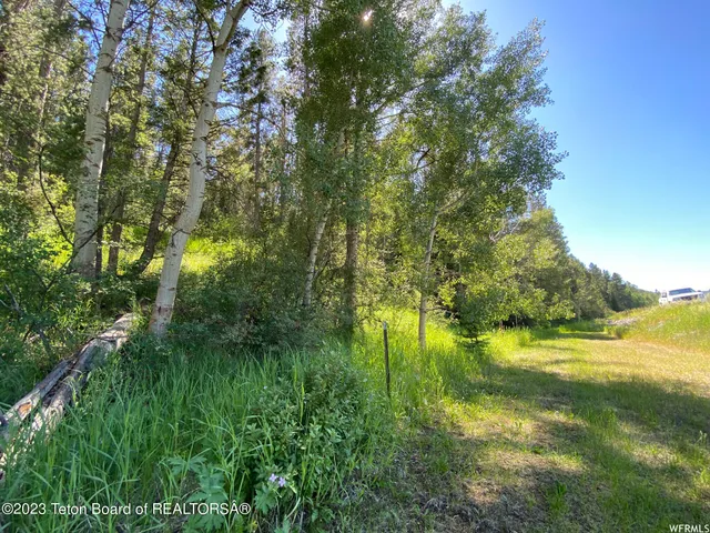 $199,000 | 2 Hwy 34 Freedom Id 83120, Wayan, ID 83285