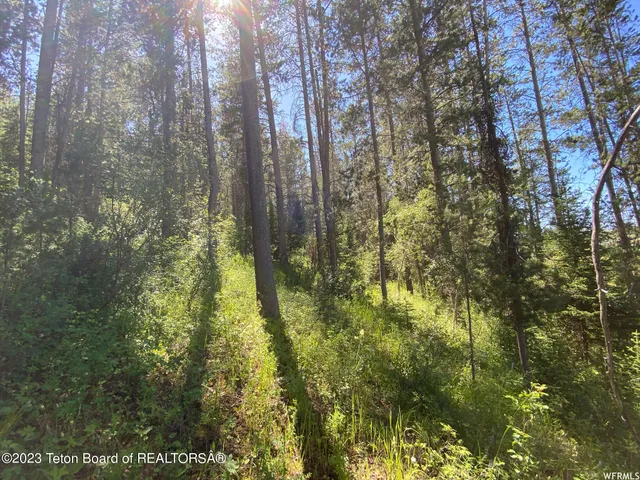 $199,000 | 2 Hwy 34 Freedom Id 83120, Wayan, ID 83285