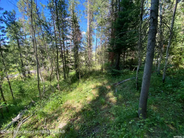 $199,000 | 2 Hwy 34 Freedom Id 83120, Wayan, ID 83285