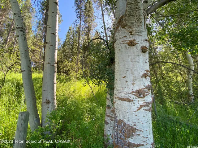 $199,000 | 2 Hwy 34 Freedom Id 83120, Wayan, ID 83285