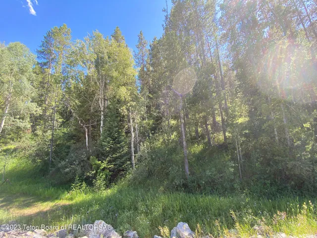 $199,000 | 2 Hwy 34 Freedom Id 83120, Wayan, ID 83285