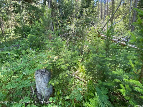 $199,000 | 2 Hwy 34 Freedom Id 83120, Wayan, ID 83285
