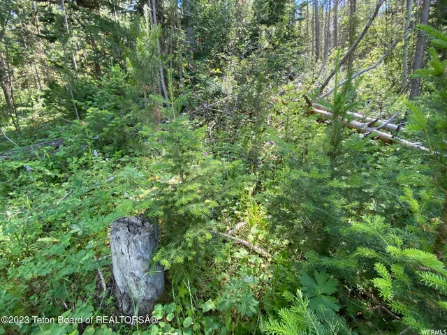 $199,000 | 2 Hwy 34 Freedom Id 83120, Wayan, ID 83285