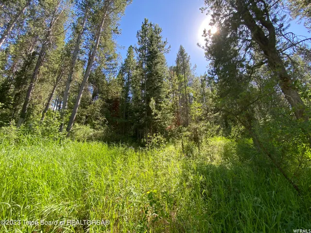 $199,000 | 2 Hwy 34 Freedom Id 83120, Wayan, ID 83285