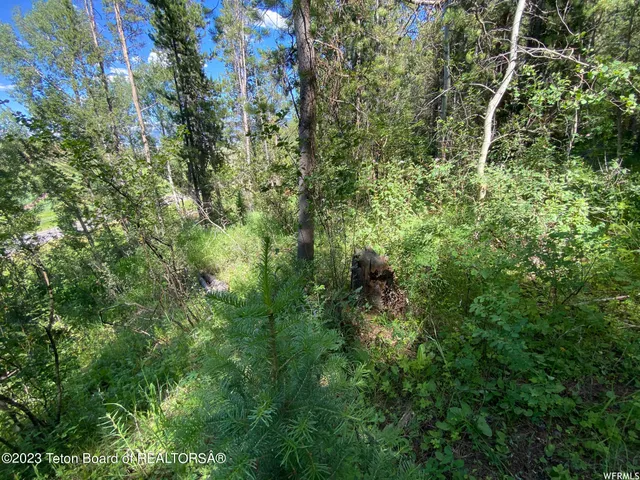 $199,000 | 2 Hwy 34 Freedom Id 83120, Wayan, ID 83285