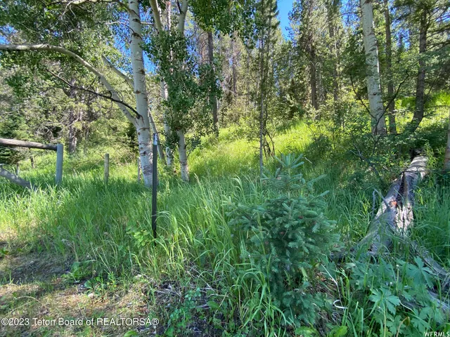 $199,000 | 2 Hwy 34 Freedom Id 83120, Wayan, ID 83285