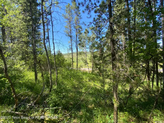 $199,000 | 2 Hwy 34 Freedom Id 83120, Wayan, ID 83285