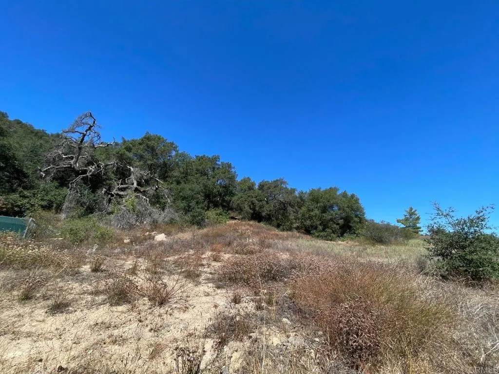 0 Rainbow Heights Road Fallbrook, CA 92028 - Photo 4 of 6 a view of a mountain range with trees in the background