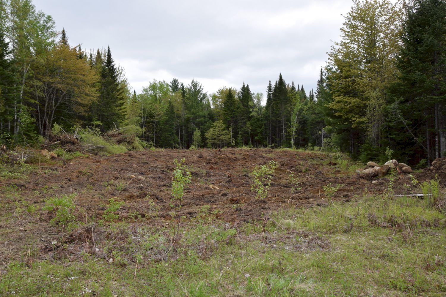 7a Halls Bridge Road Canaan, ME 04924 - Photo 19 of 44 Lot 9