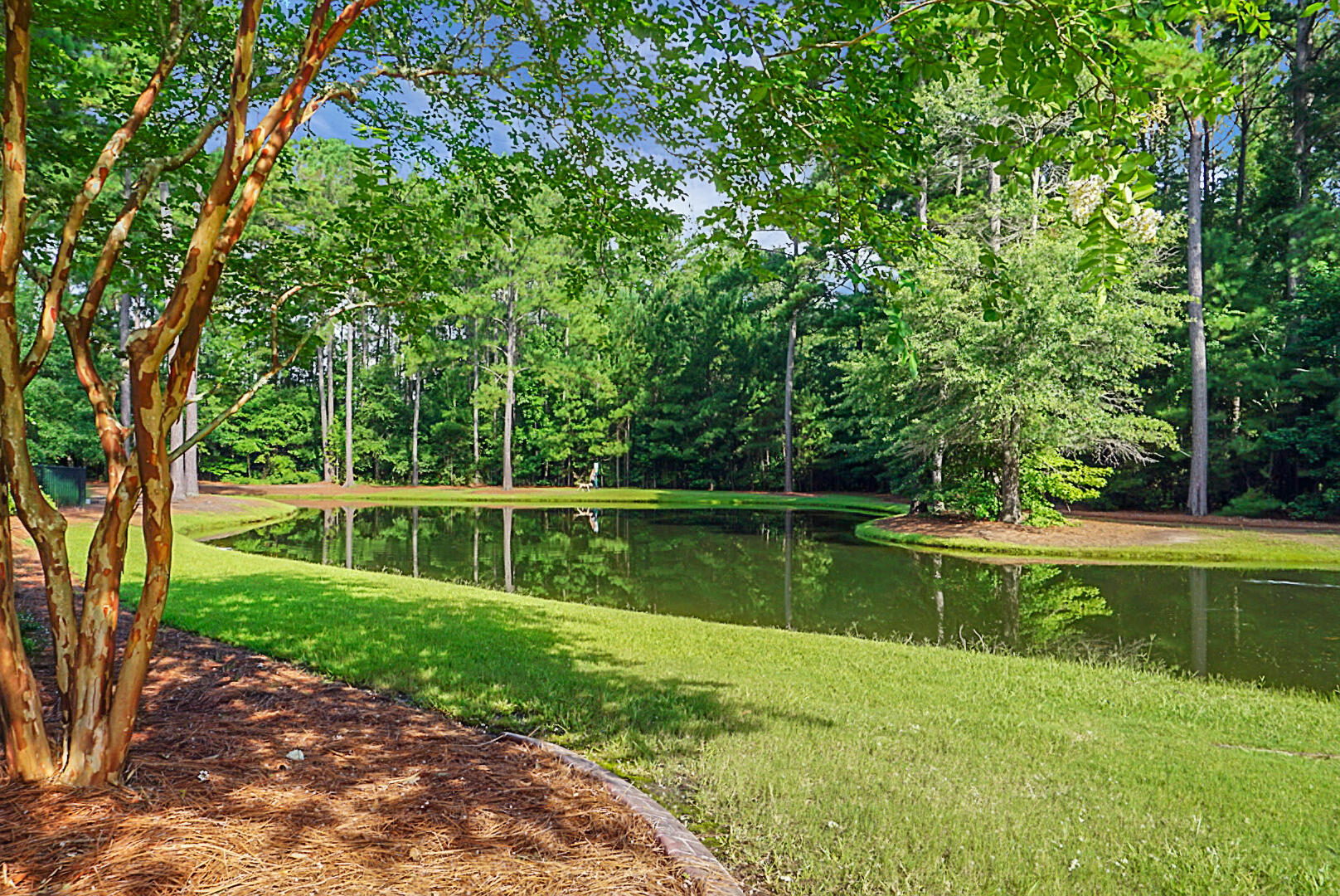 4876 Oak Leaf Road Summerville, SC 29485 - Photo 36 of 39 DSC04697