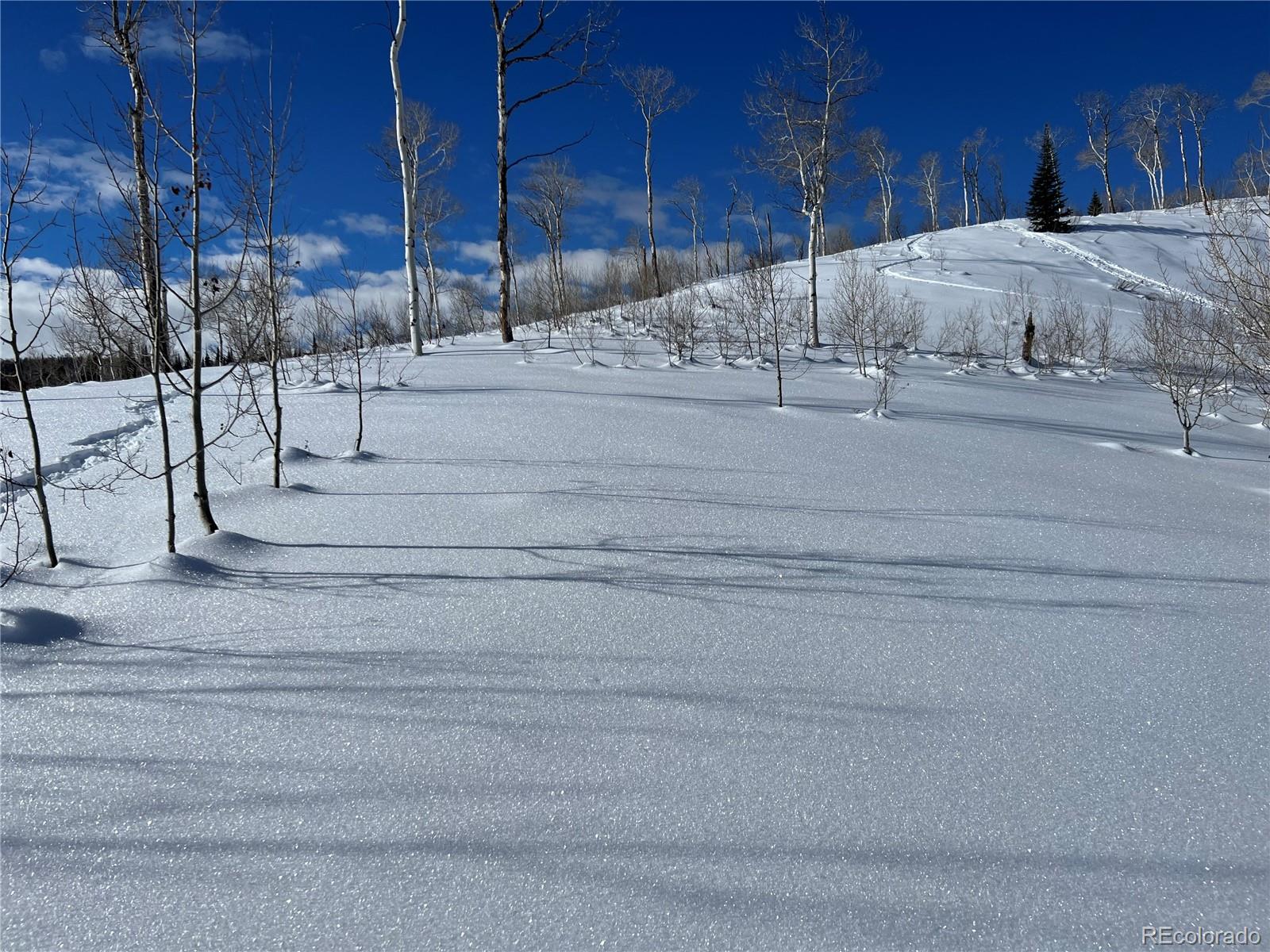 57605 Longfellow Way Clark, CO 80428 - Photo 11 of 37