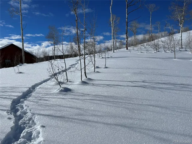 a view of a backyard of the house