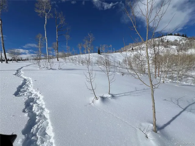 a view of a back yard of the house