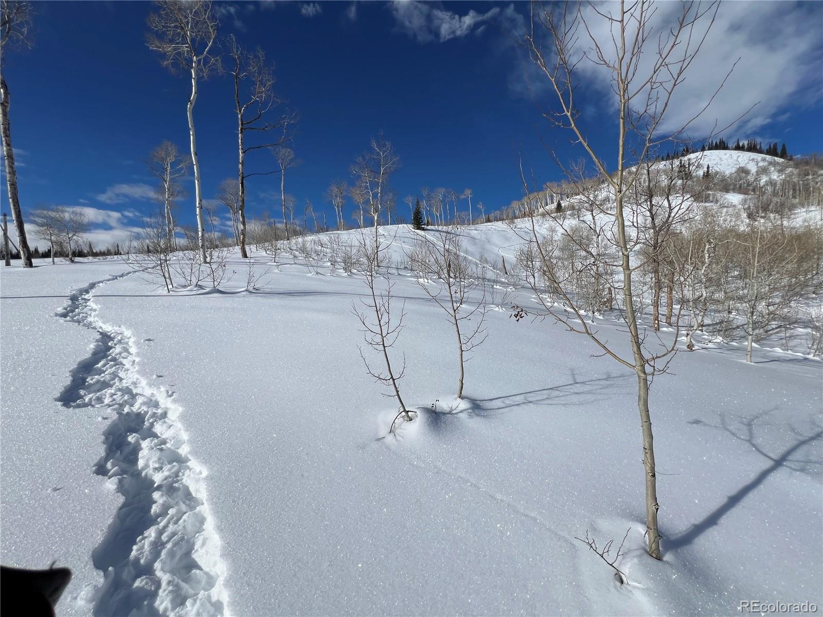 57605 Longfellow Way Clark, CO 80428 - Photo 14 of 37
