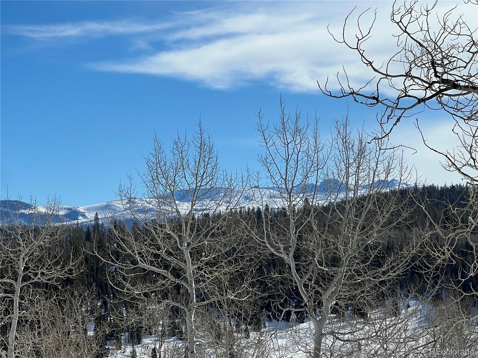 57605 Longfellow Way Clark, CO 80428 - Photo 2 of 37