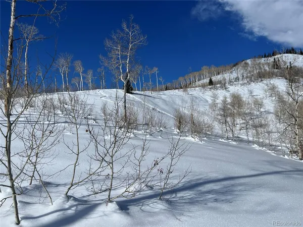 $49,900 | 57605 Longfellow Way, Clark, CO 80428