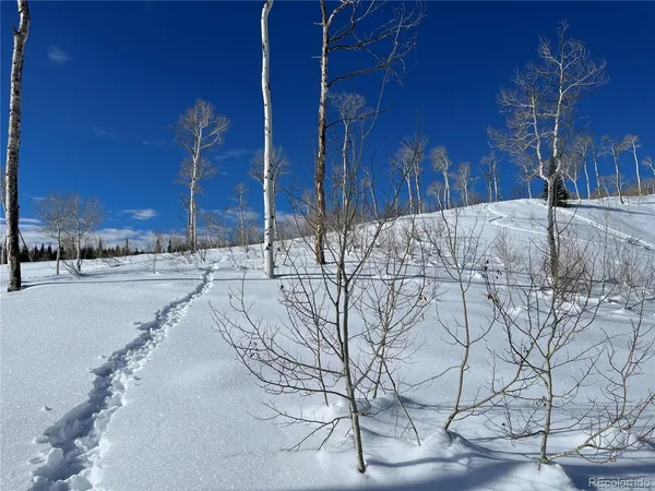 $49,900 | 57605 Longfellow Way, Clark, CO 80428