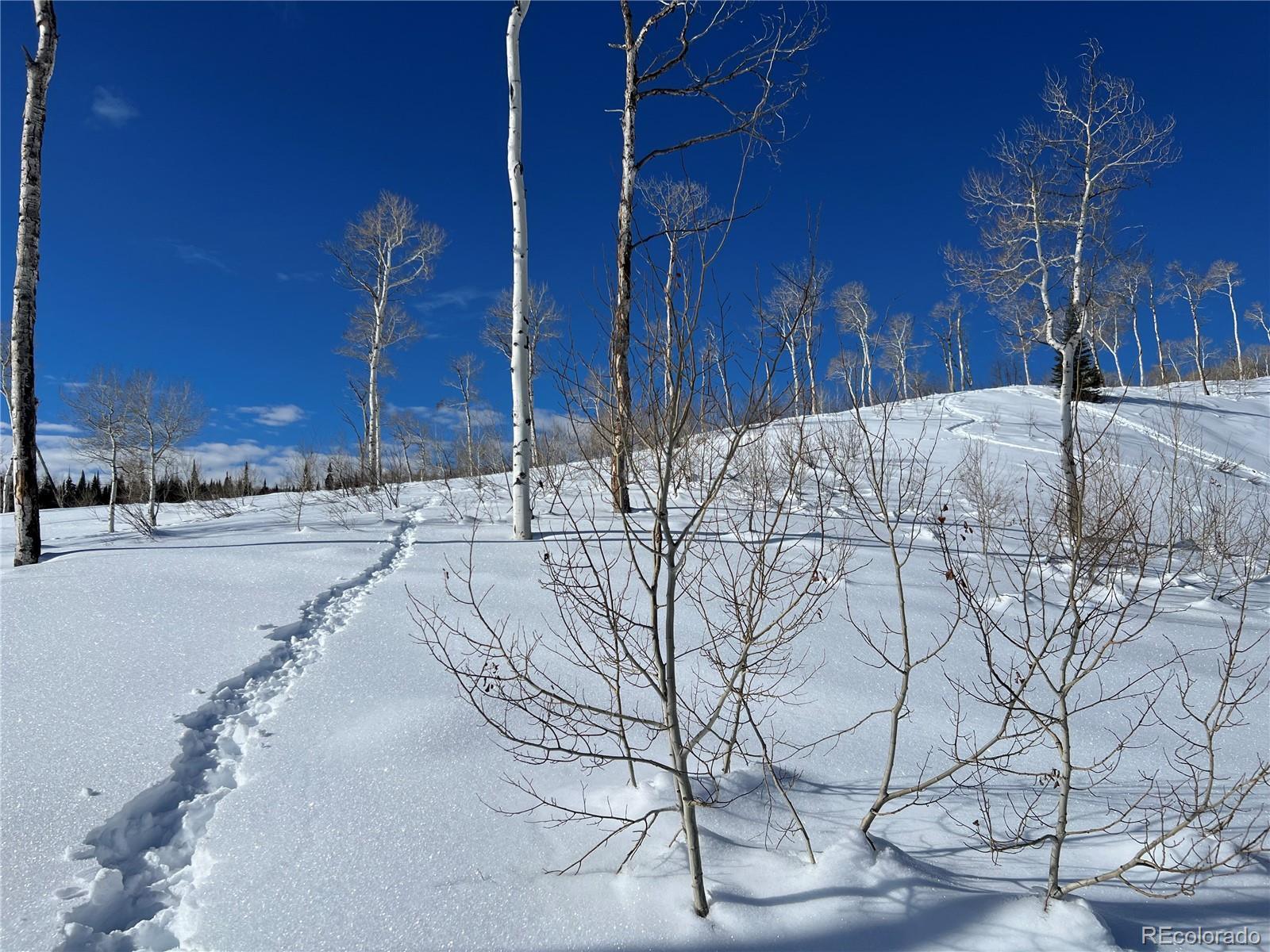 57605 Longfellow Way Clark, CO 80428 - Photo 25 of 37