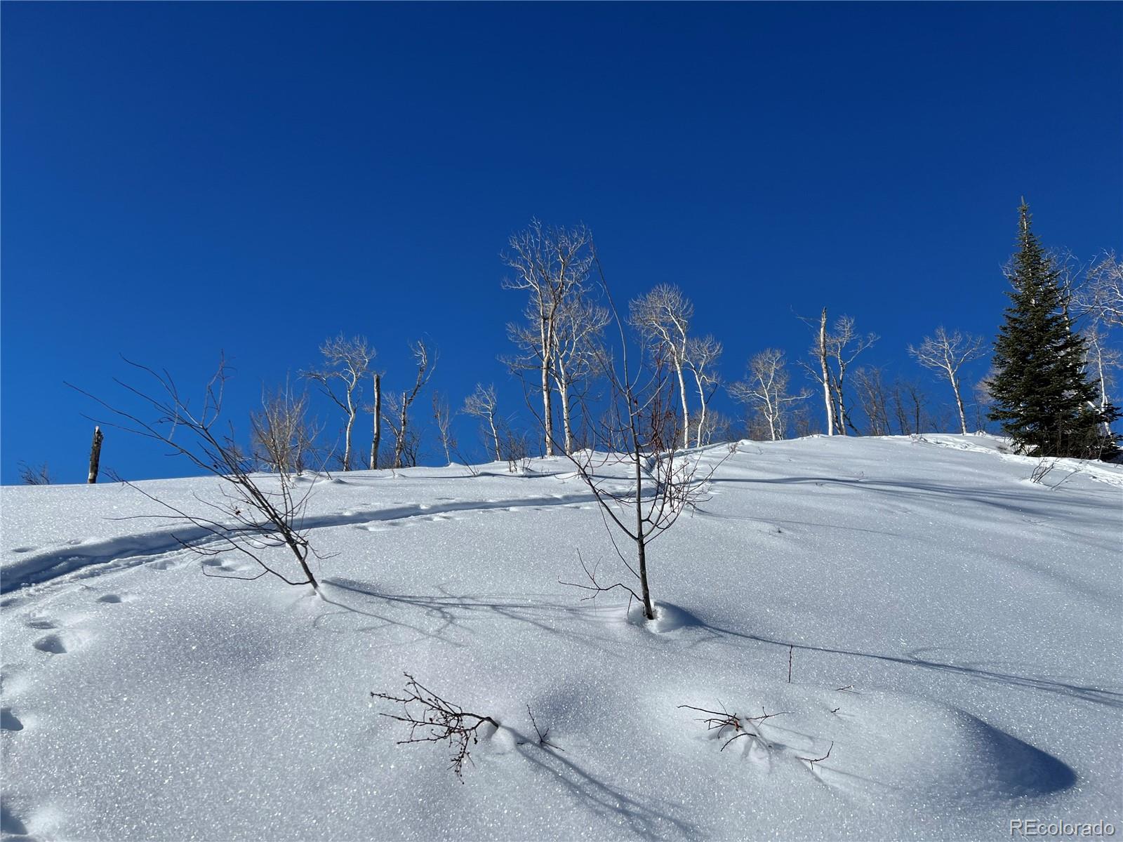 57605 Longfellow Way Clark, CO 80428 - Photo 29 of 37