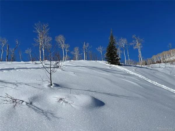 $49,900 | 57605 Longfellow Way, Clark, CO 80428