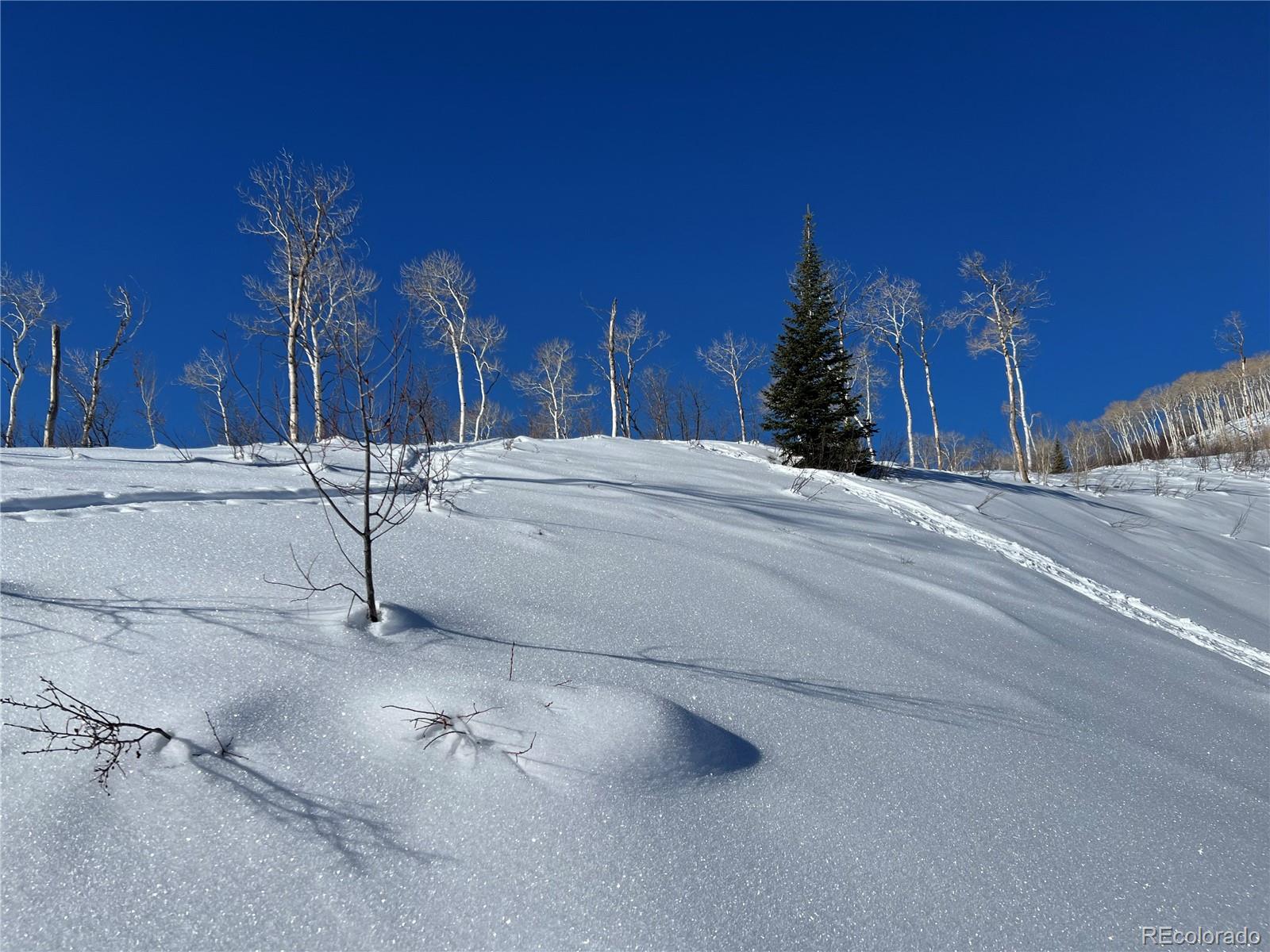 57605 Longfellow Way Clark, CO 80428 - Photo 30 of 37