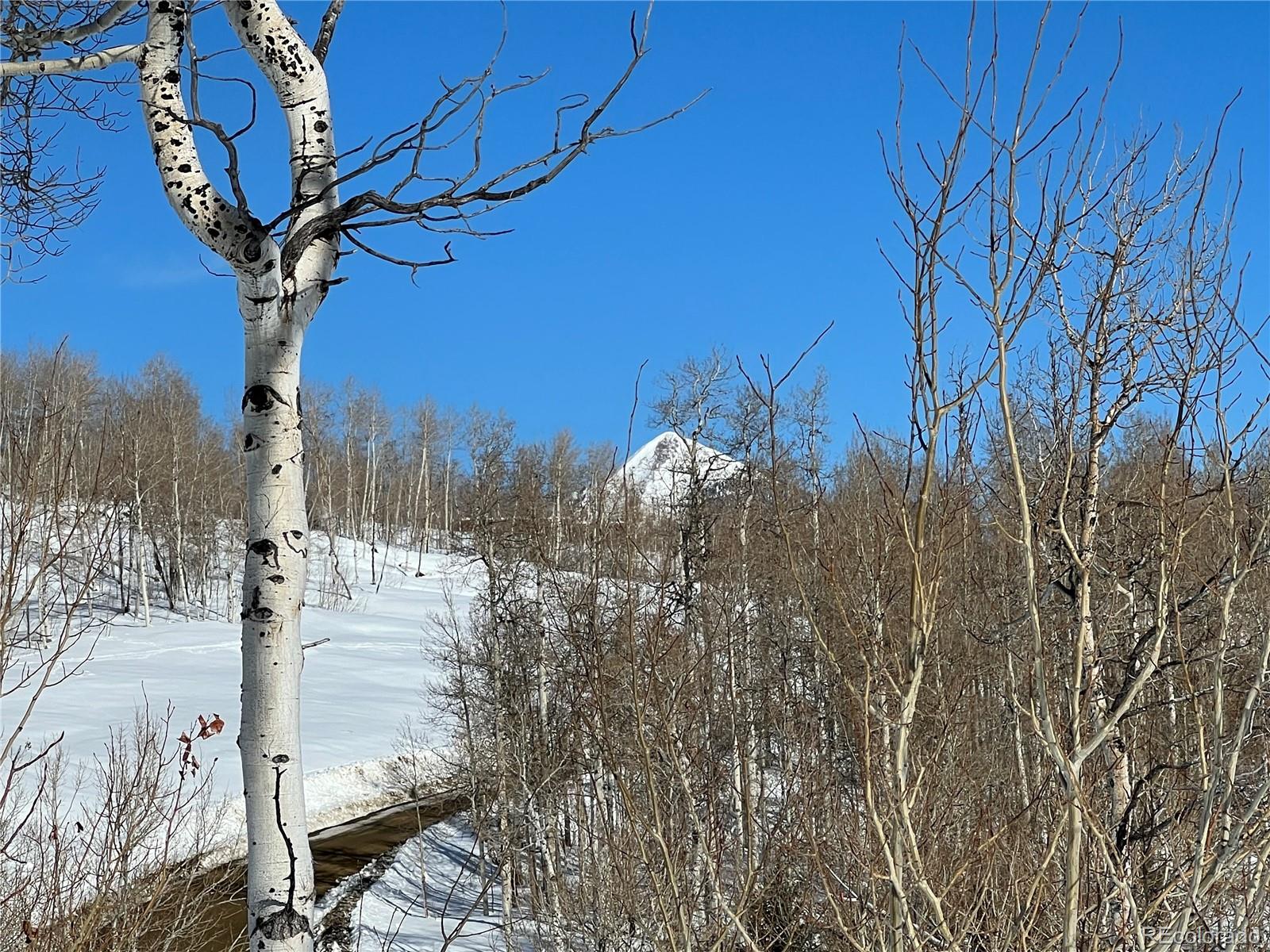 57605 Longfellow Way Clark, CO 80428 - Photo 3 of 37