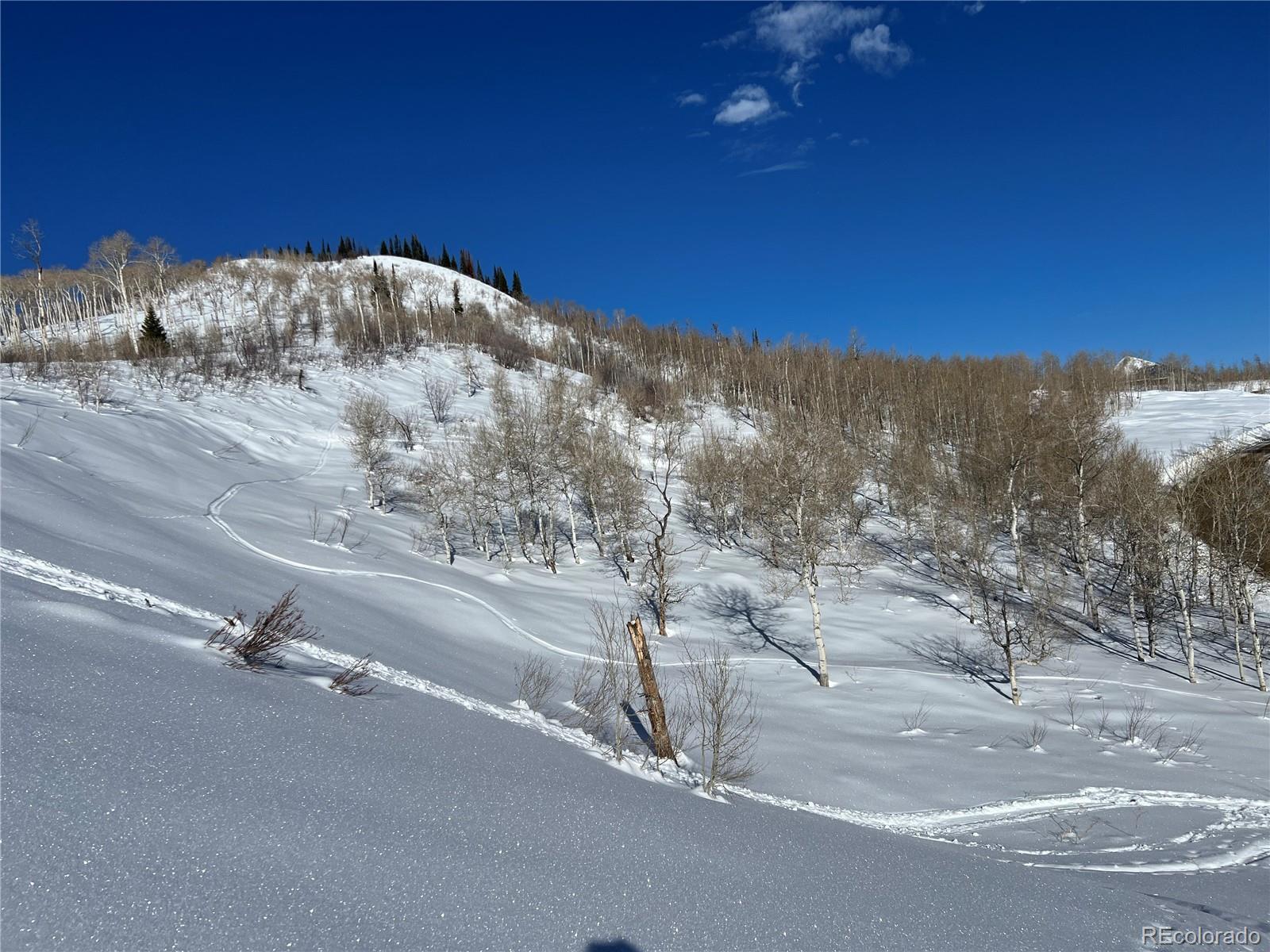 57605 Longfellow Way Clark, CO 80428 - Photo 31 of 37
