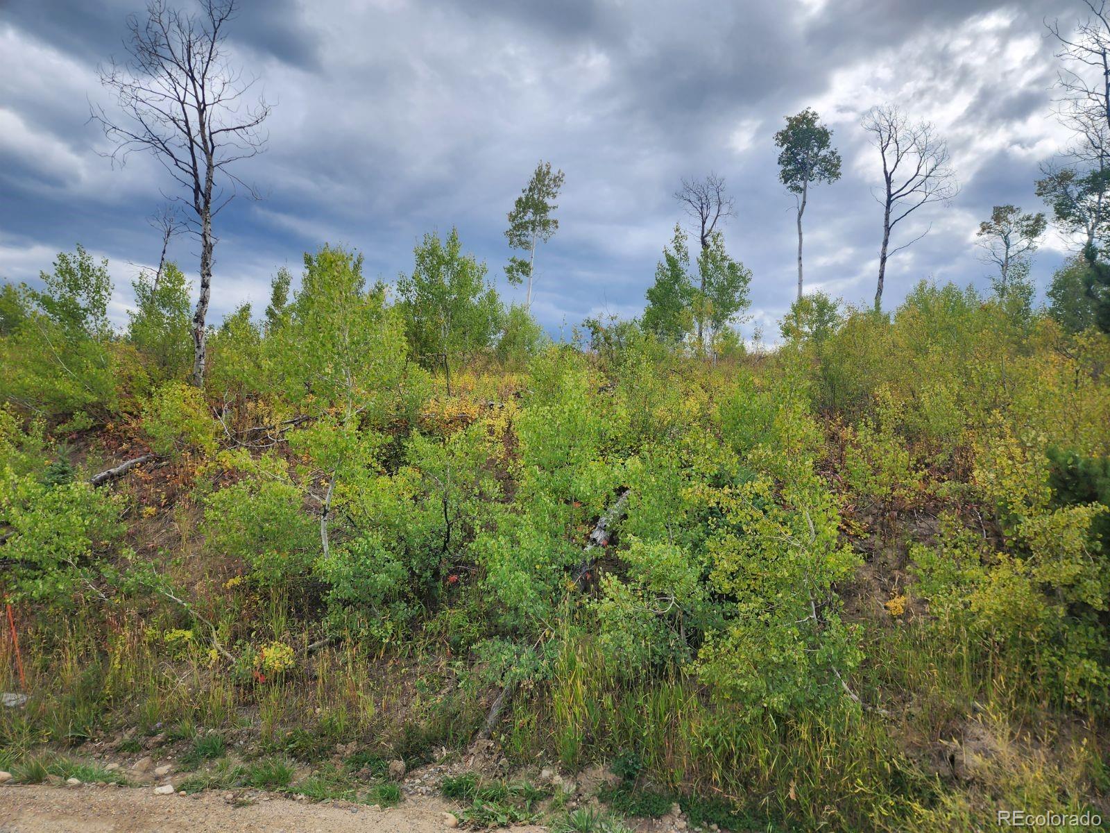 57605 Longfellow Way Clark, CO 80428 - Photo 32 of 37