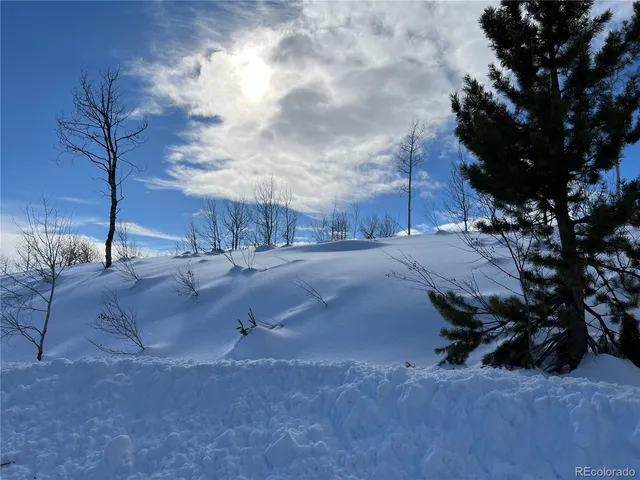 a view of fire pit with large trees