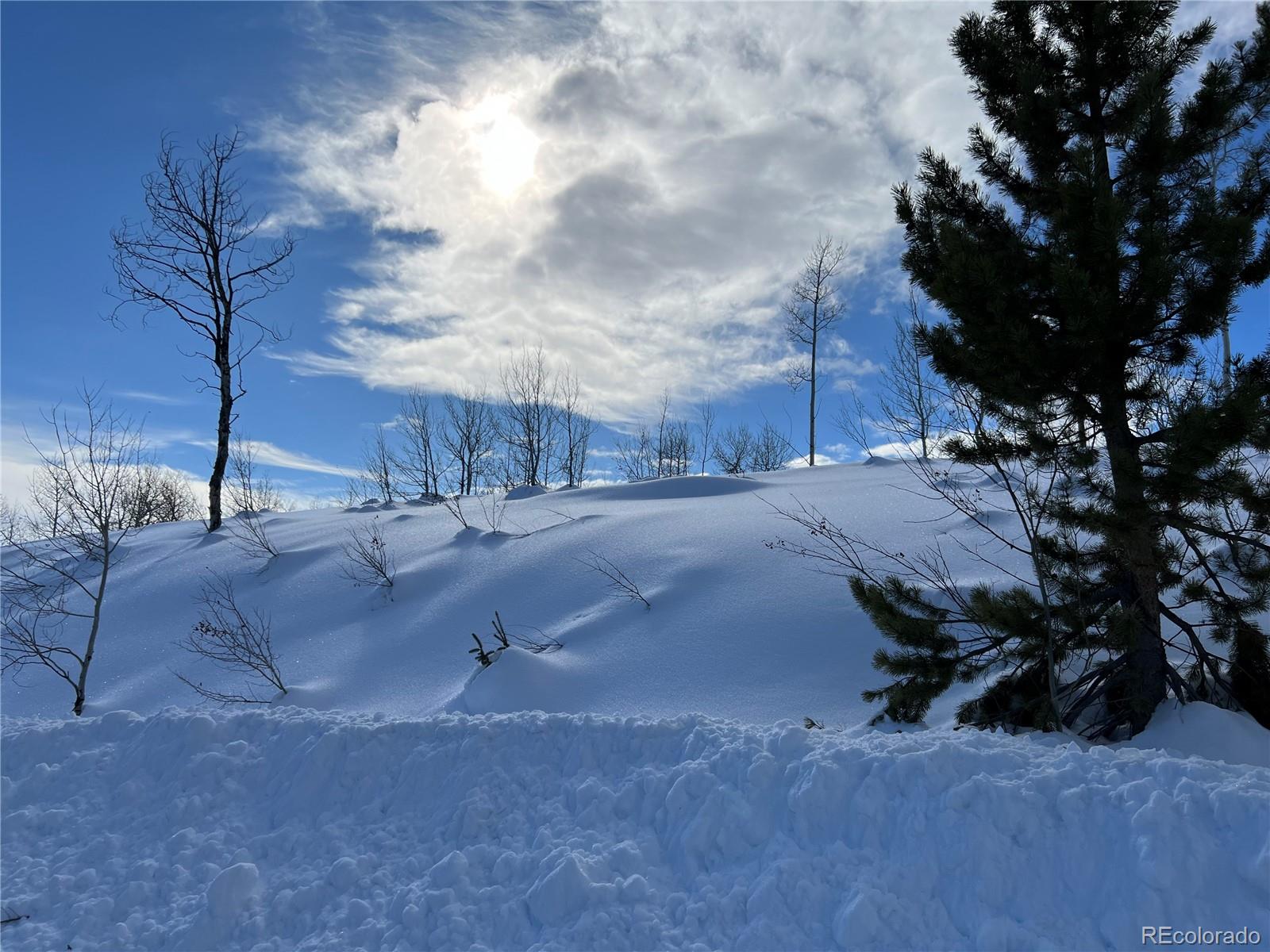 57605 Longfellow Way Clark, CO 80428 - Photo 35 of 37
