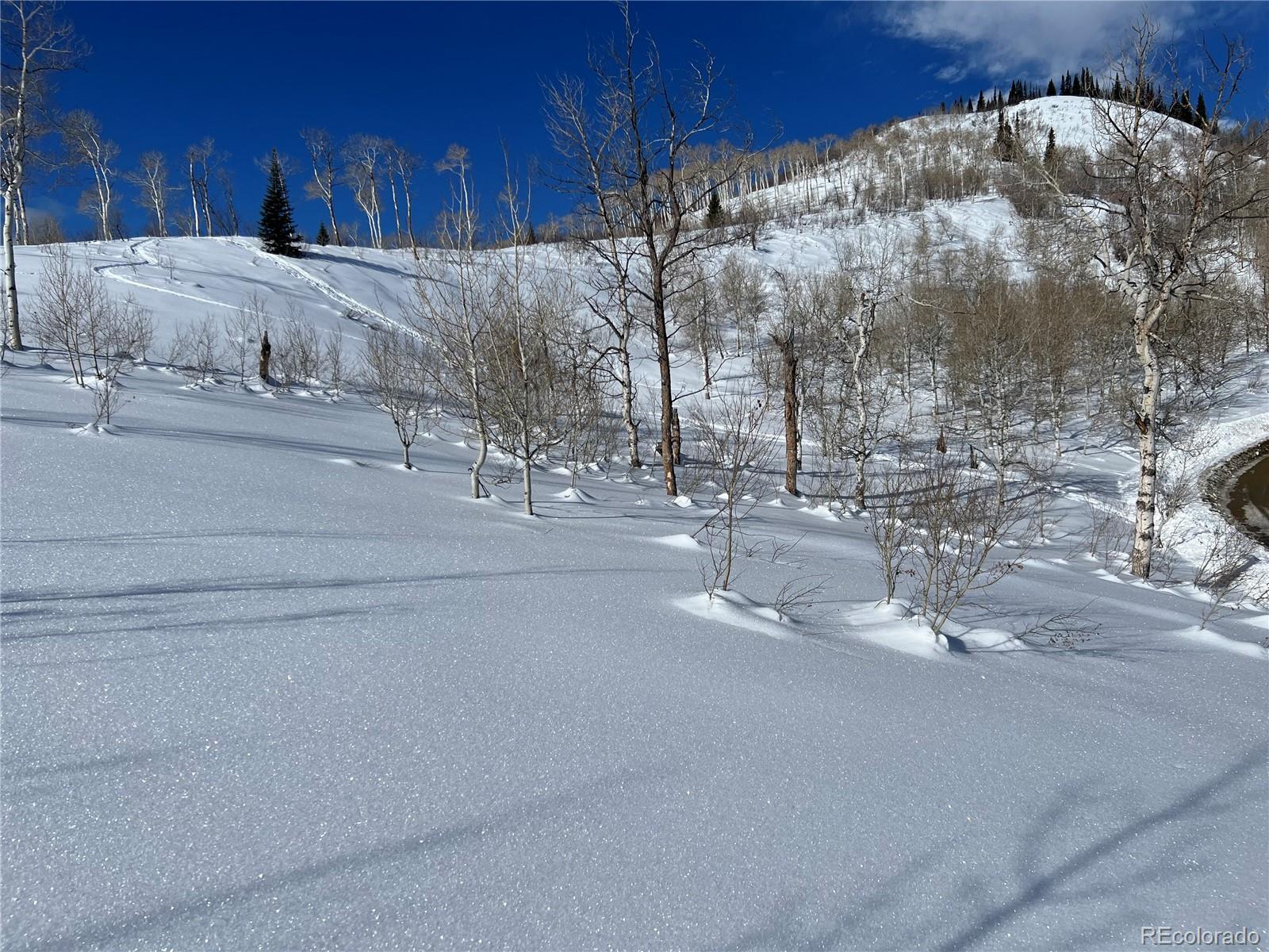 57605 Longfellow Way Clark, CO 80428 - Photo 10 of 37