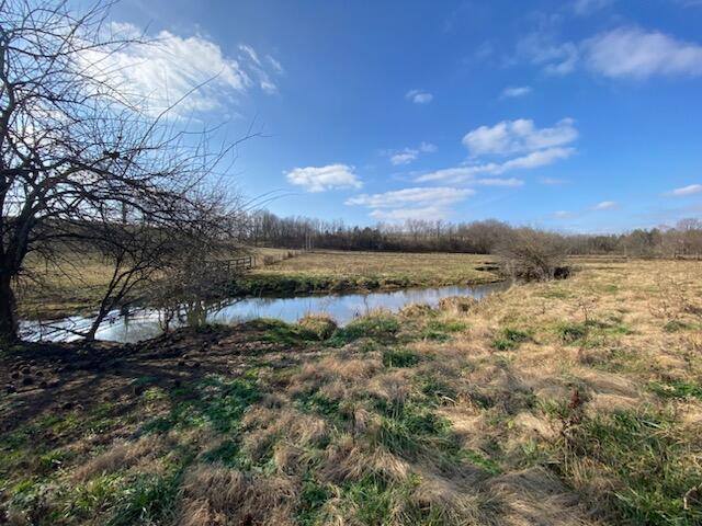 120271 Walnut Grove Road, Unit TRACT # 1 Carlisle, KY 40311 - Photo 36 of 39 36