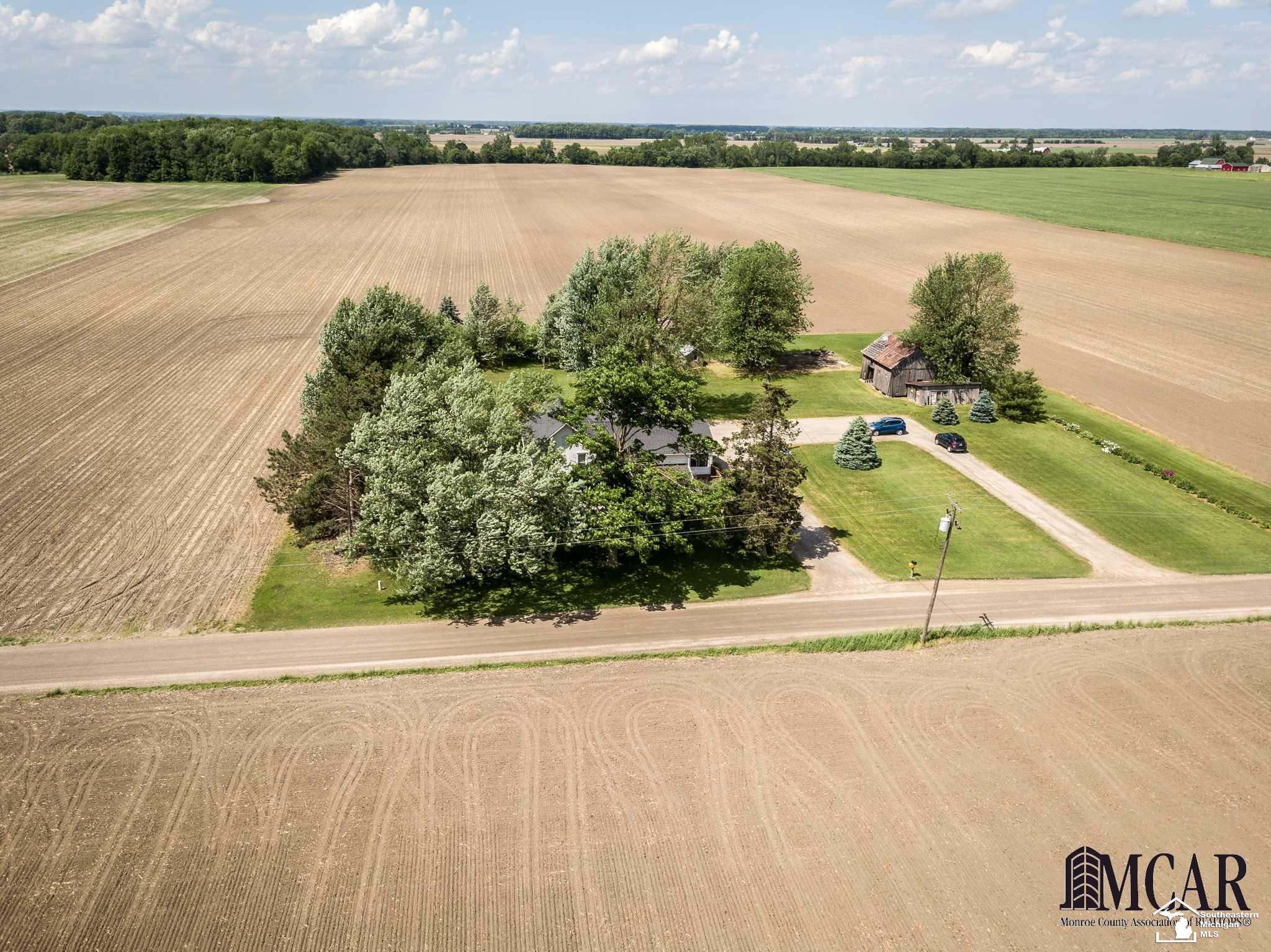 19438 Cake Road Dundee, MI 48131 - Photo 35 of 38