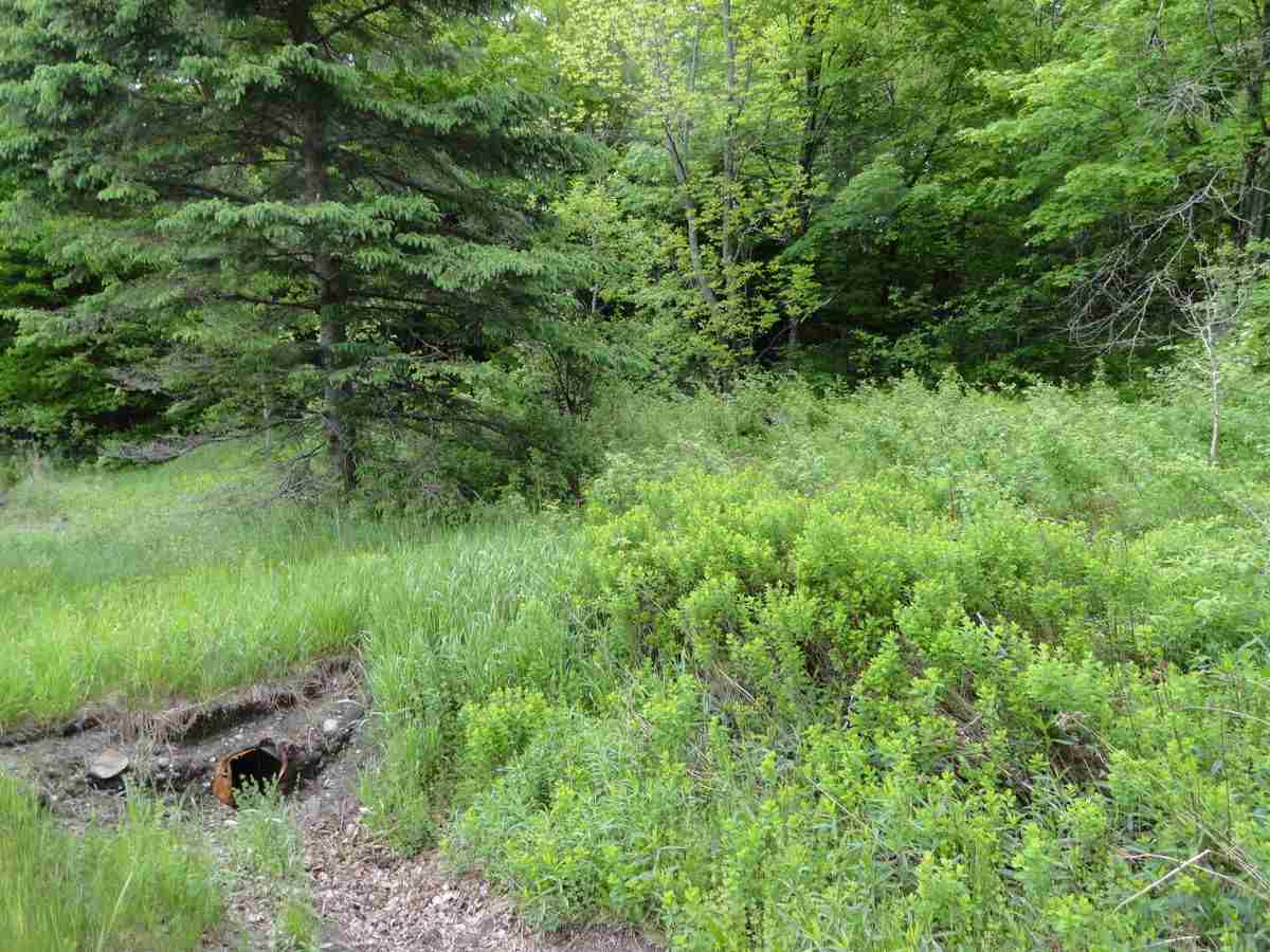L17 Dry Pond Road, Unit LOT 17 Glover, VT 05839 - Photo 1 of 7