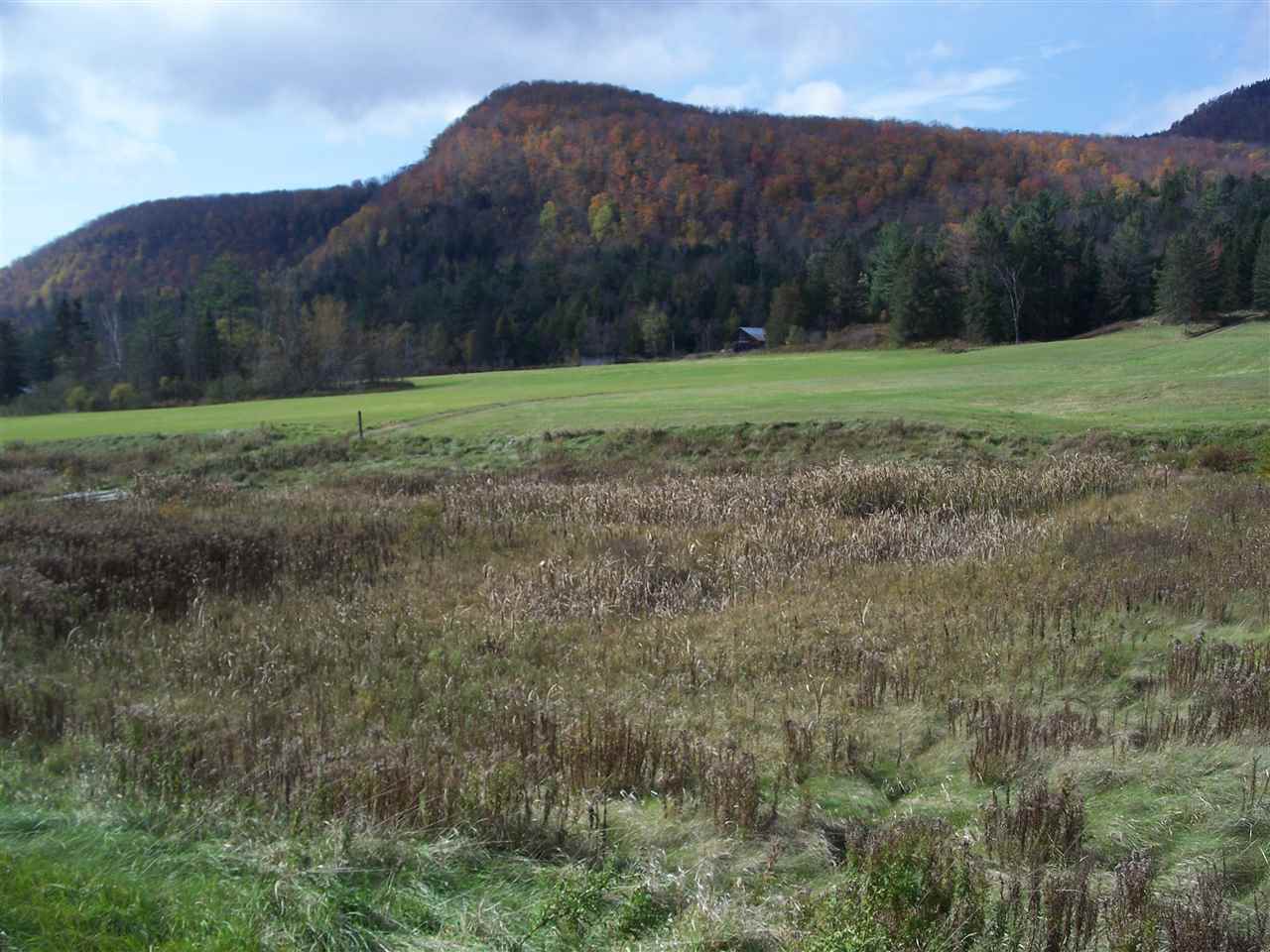 L17 Dry Pond Road, Unit LOT 17 Glover, VT 05839 - Photo 2 of 7