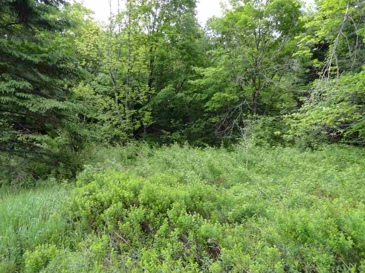 L17 Dry Pond Road, Unit LOT 17 Glover, VT 05839 - Photo 3 of 7