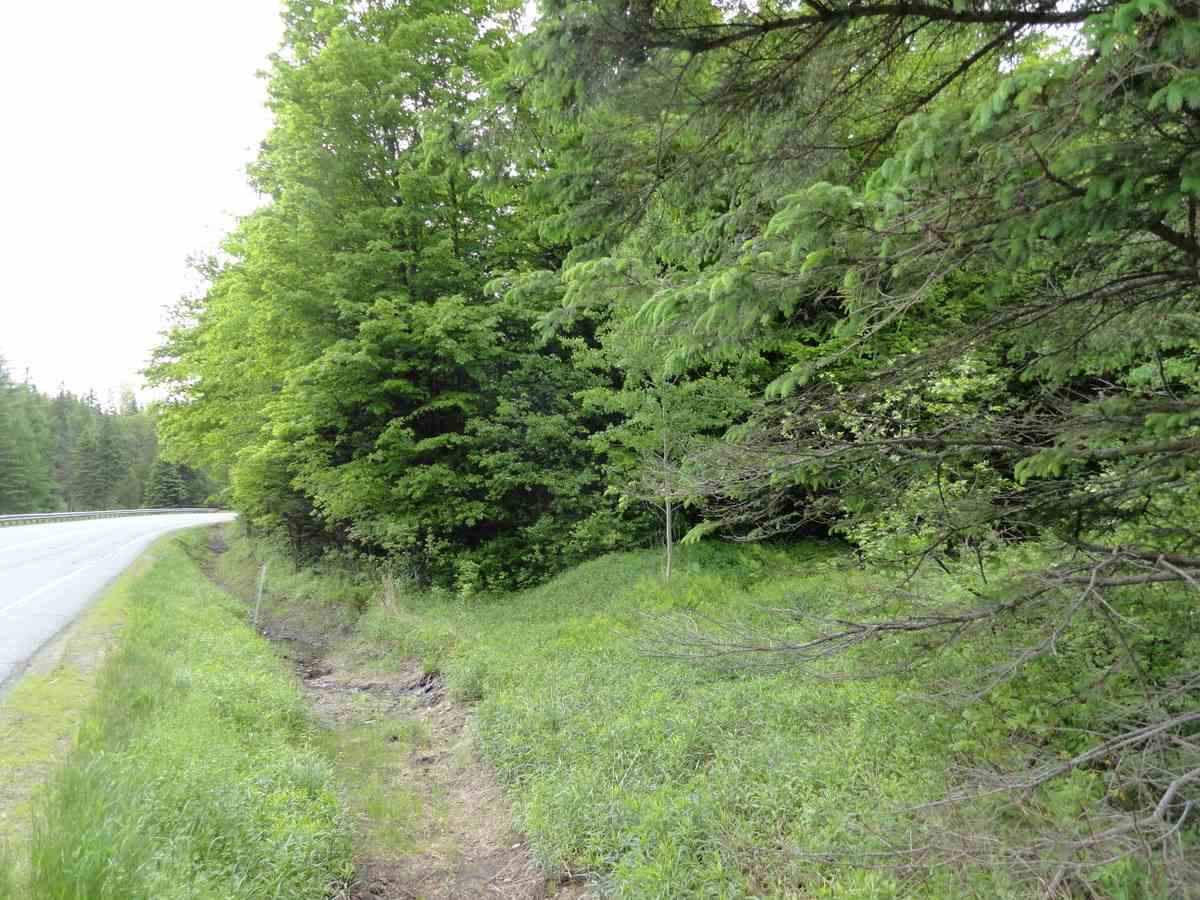 L17 Dry Pond Road, Unit LOT 17 Glover, VT 05839 - Photo 4 of 7