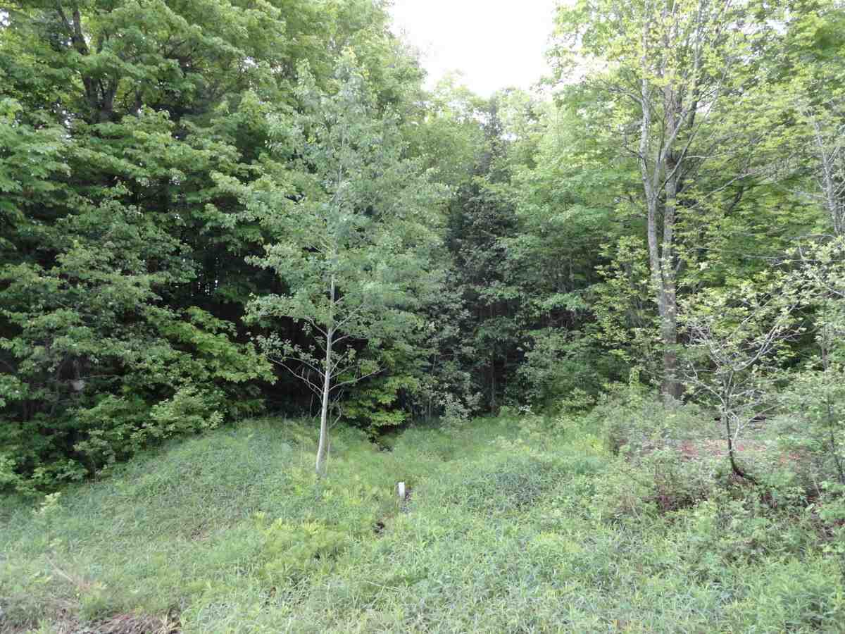 L17 Dry Pond Road, Unit LOT 17 Glover, VT 05839 - Photo 5 of 7