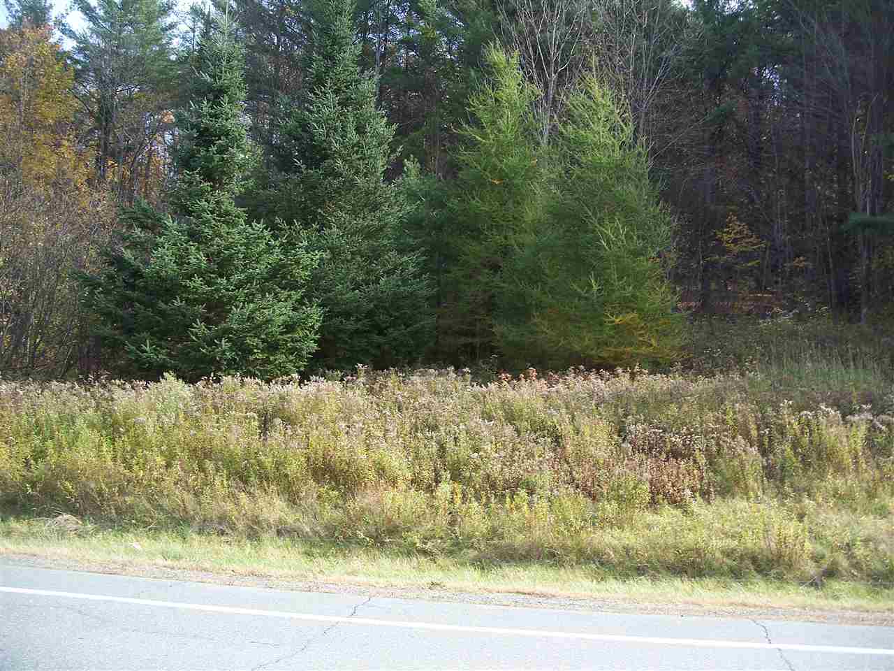 L17 Dry Pond Road, Unit LOT 17 Glover, VT 05839 - Photo 6 of 7