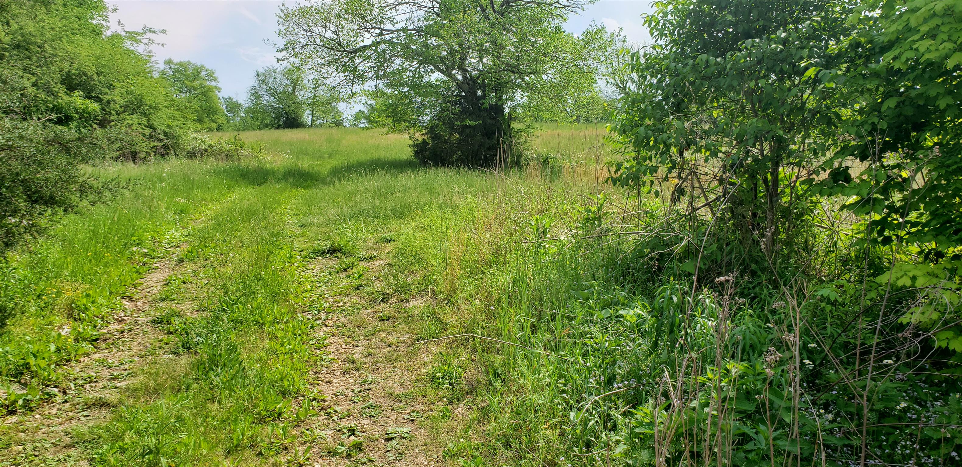 2079 Mines Road Pulaski, TN 38478 - Photo 1 of 3 A little over an acre lot on Mines road. Which is off of 166 south.
