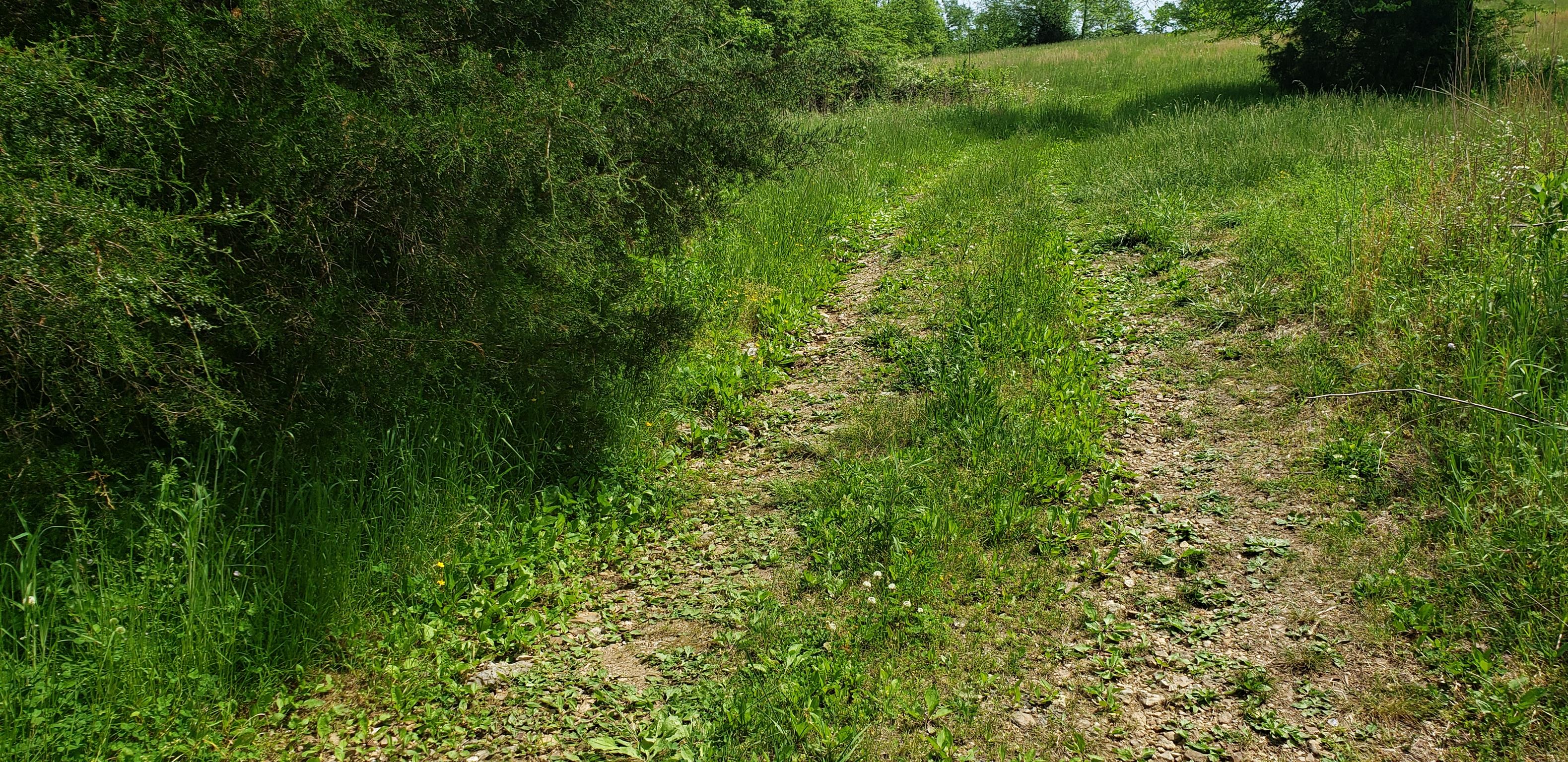 2079 Mines Road Pulaski, TN 38478 - Photo 2 of 3 Gallery Image 2