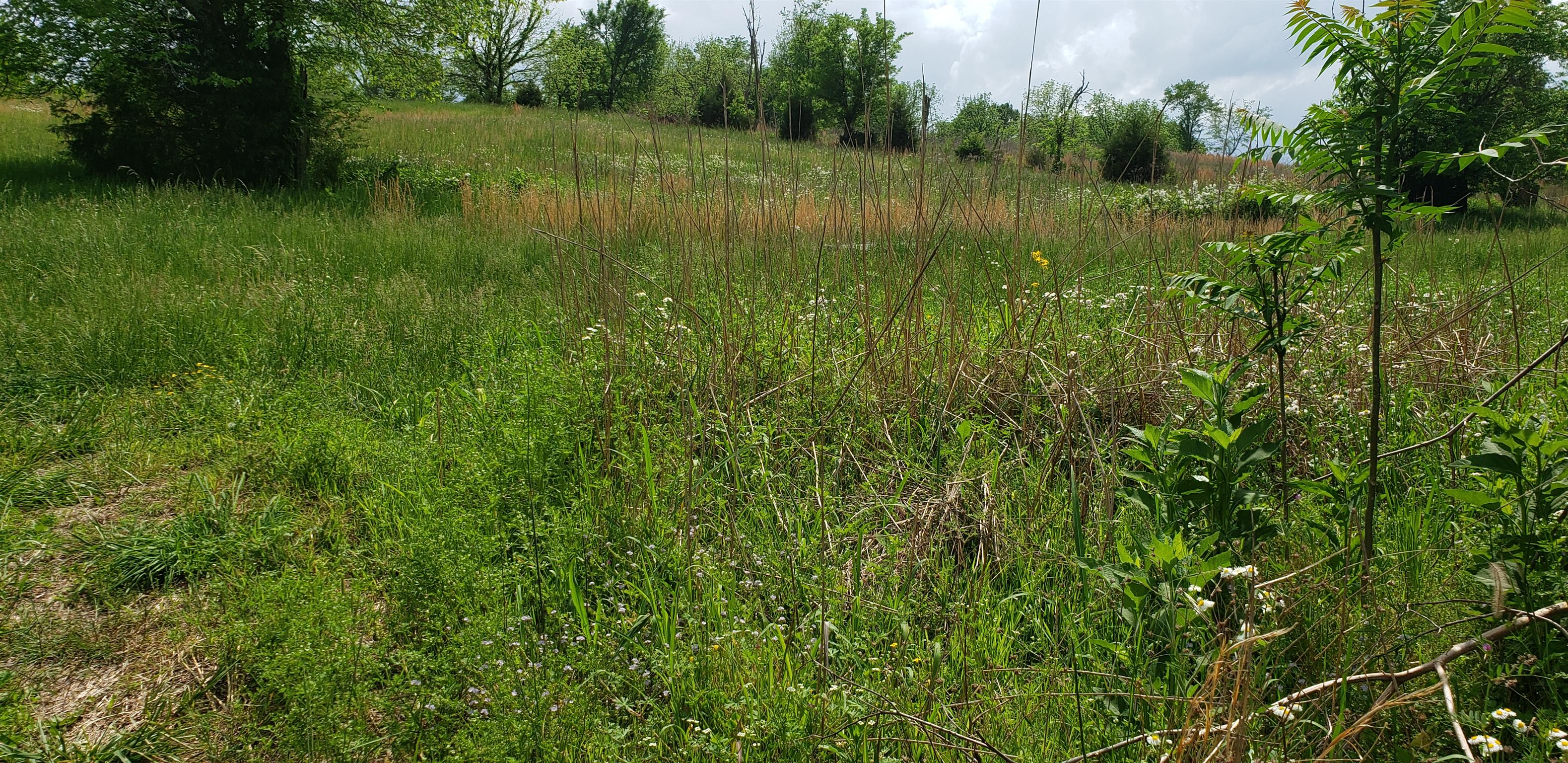 2079 Mines Road Pulaski, TN 38478 - Photo 3 of 3 Gallery Image 3