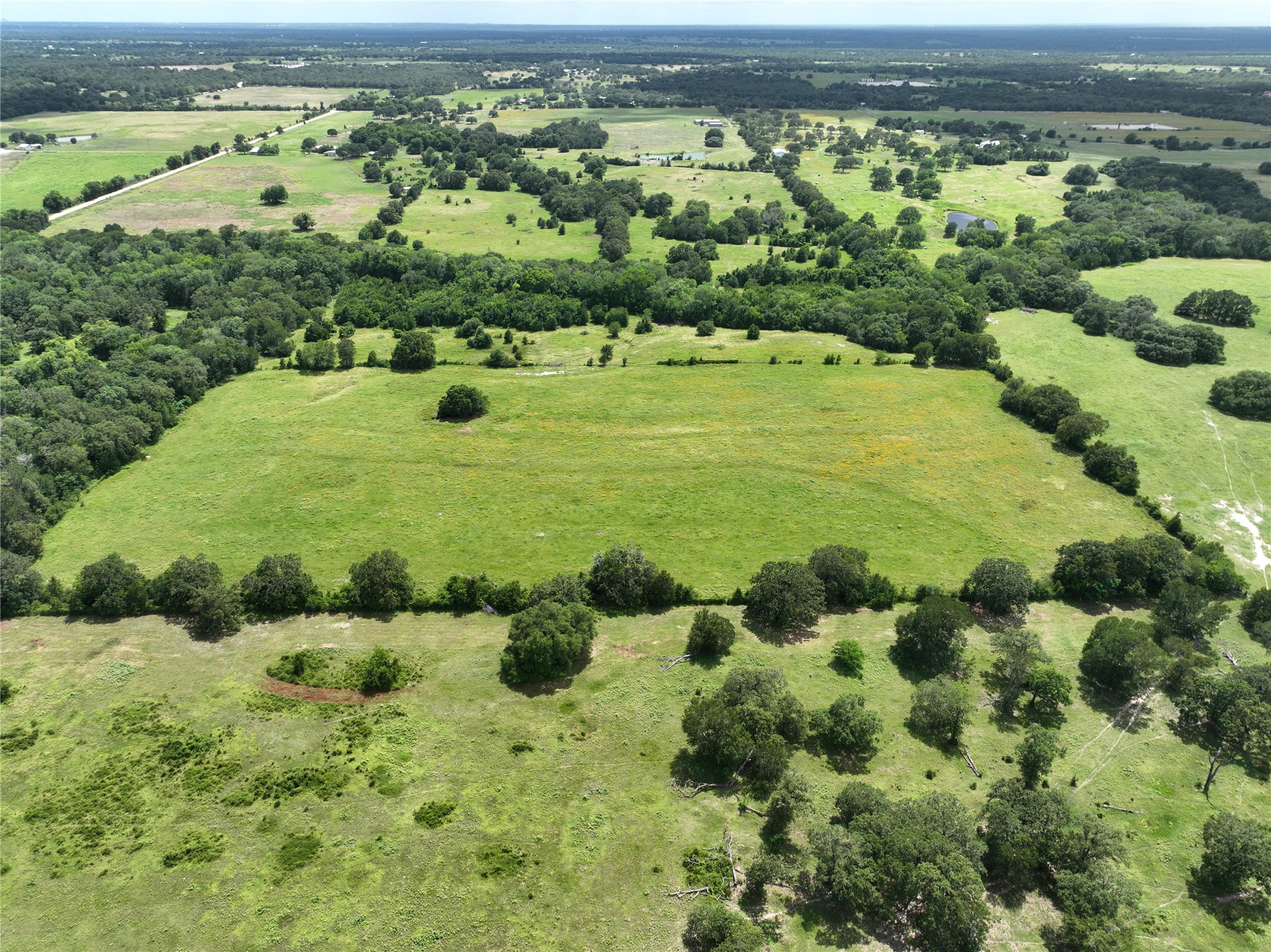 0 Homeyer Mountain Road Burton, TX 77835 - Photo 12 of 17