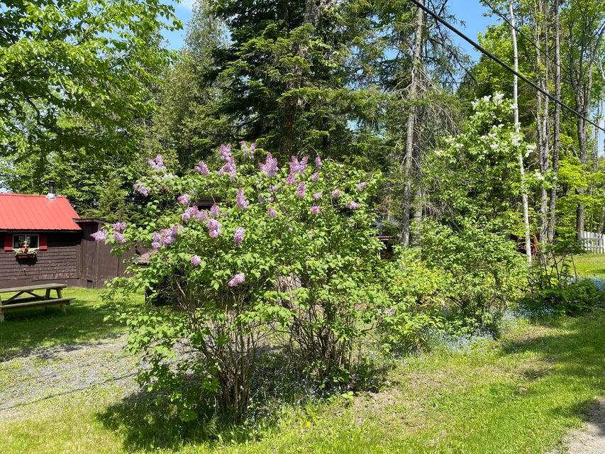 875 South Shore Road Stockholm, ME 04783 - Photo 11 of 26 875 s9