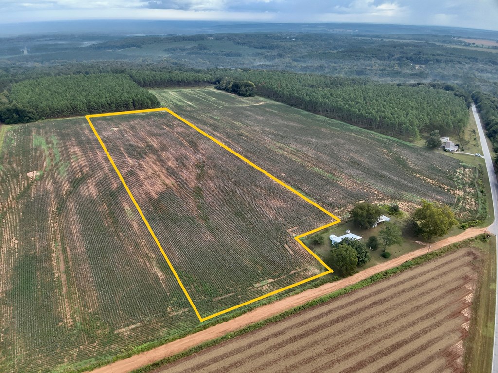10.5-acres High Bluff Road Hartford, AL 36344 - Photo 7 of 8