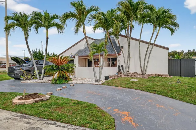 a view of a backyard with palm trees