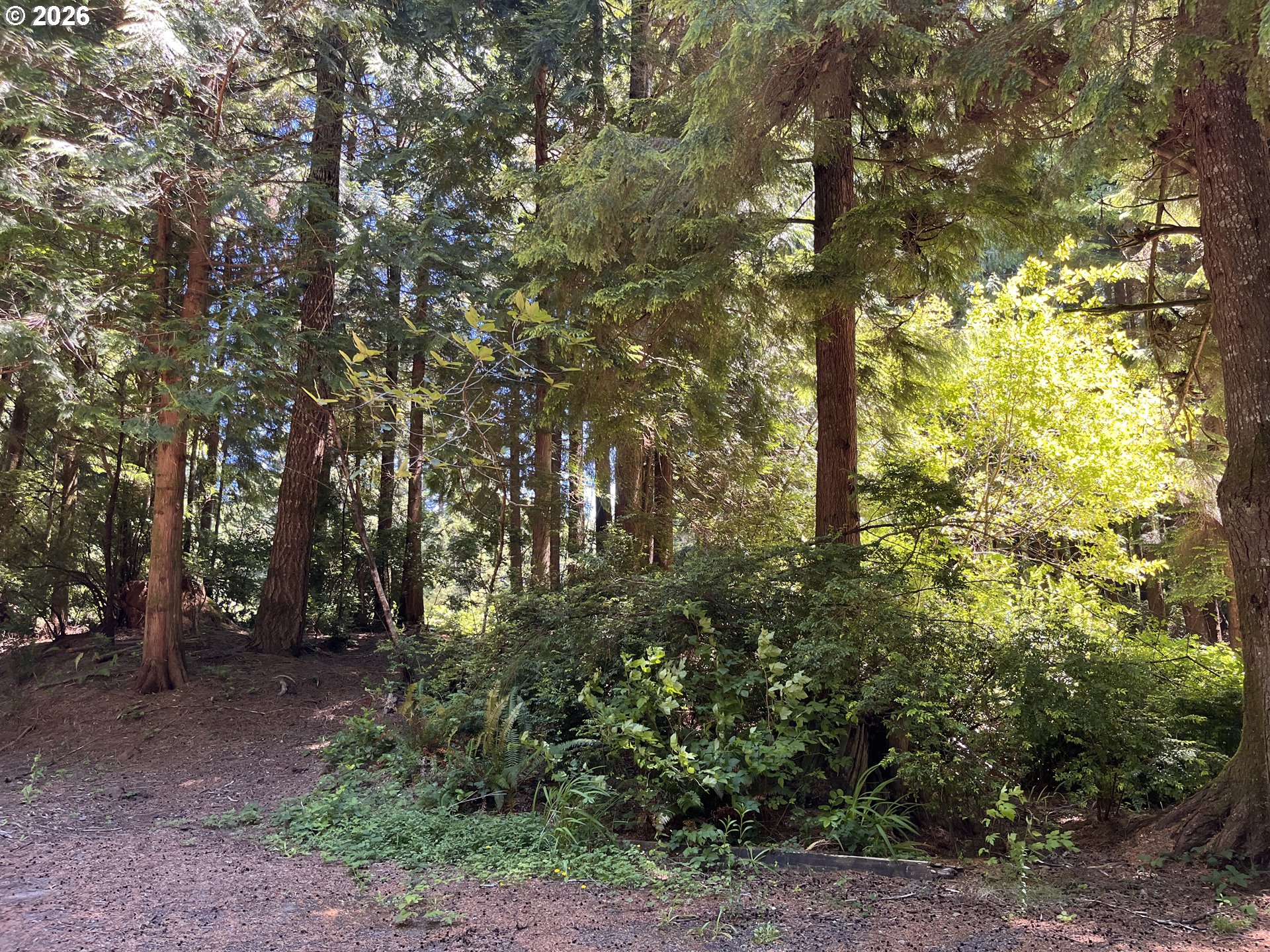 North Loftus Road Florence, OR 97439 - Photo 9 of 12