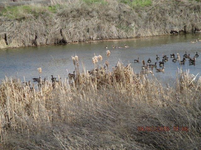 15750 Swisher Road Merrill, OR 97633 - Photo 9 of 9 Additional Photo