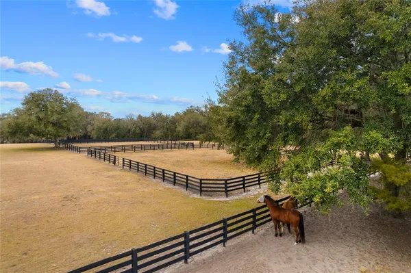 $2,750,000 | 12350 Northwest Highway 225, Reddick, FL 32686